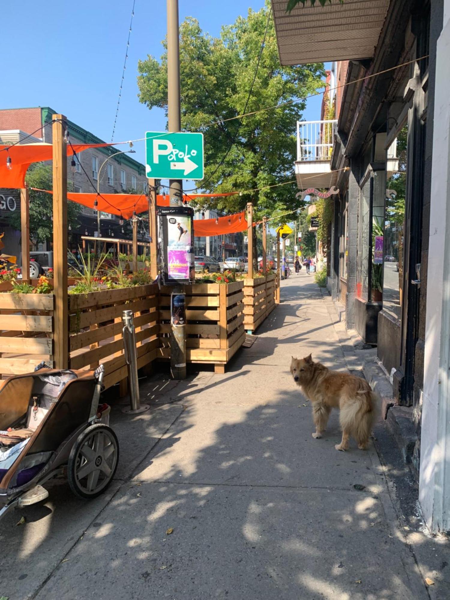 Pensione Popolo Montréal Extérieur photo
