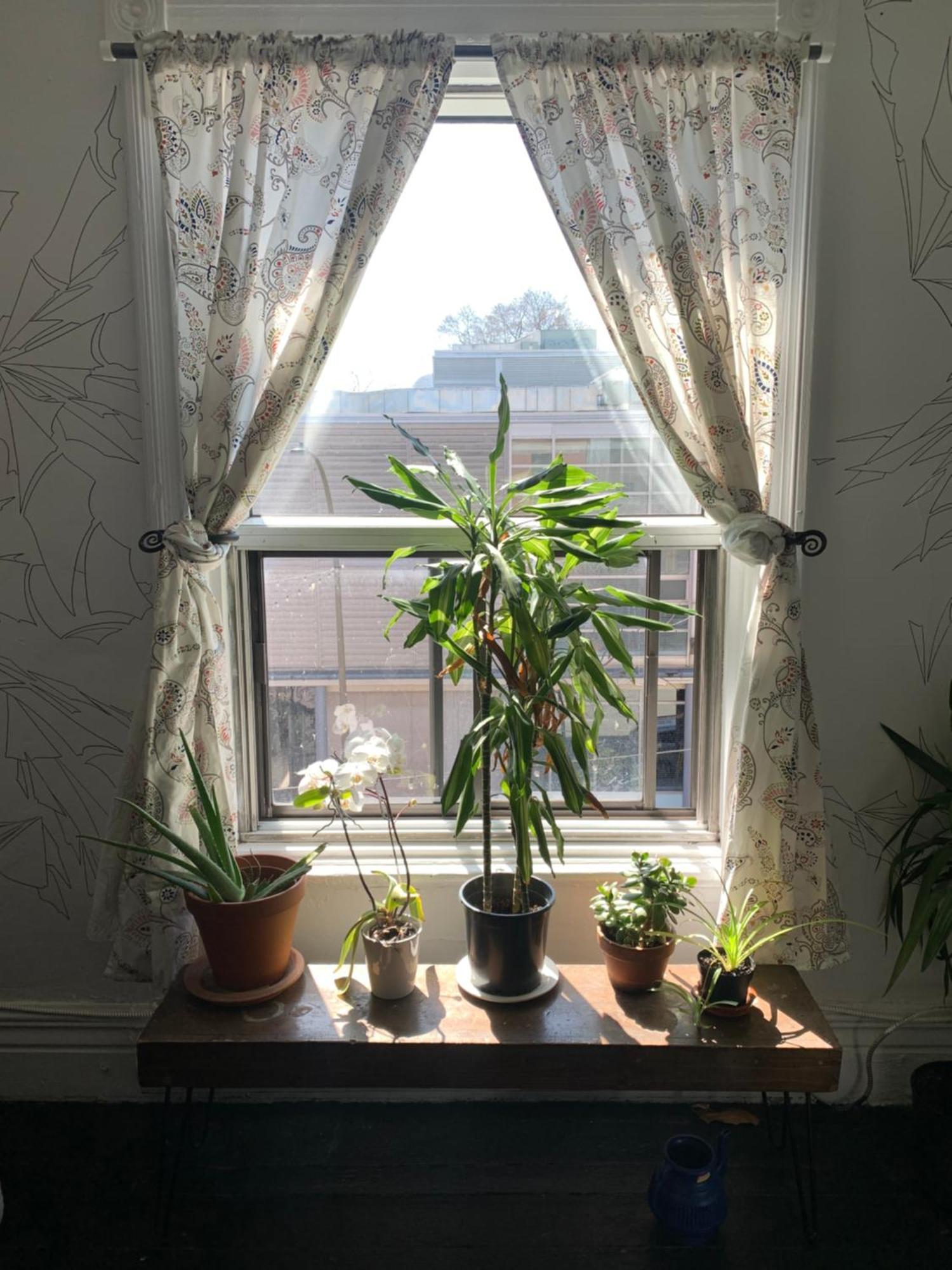 Pensione Popolo Montréal Extérieur photo